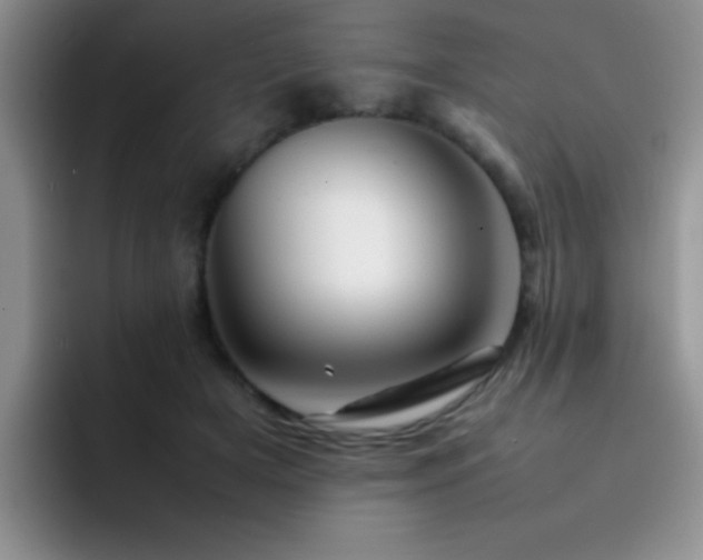 X0000092210505200709141029