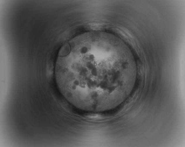 X0000092210507200709141029