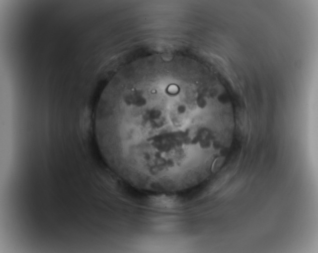 X0000092210511200709141029