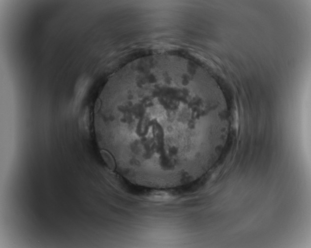 X0000092210519200709141028