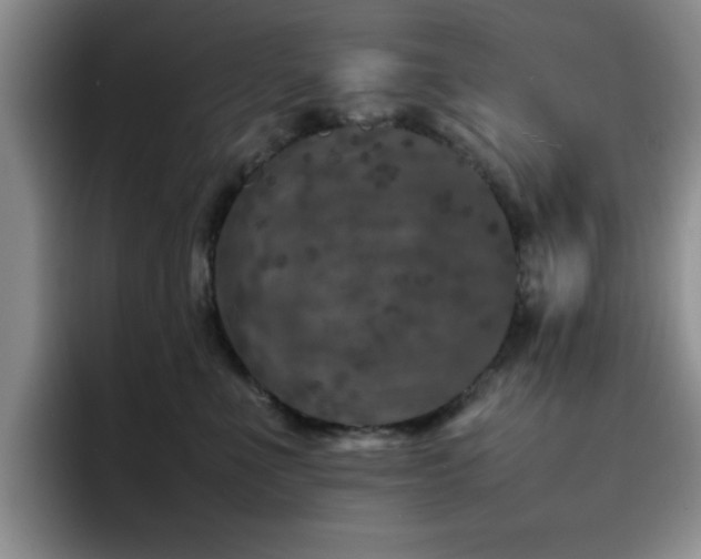 X0000092210523200709141028