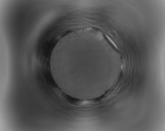 X0000092210527200709141028