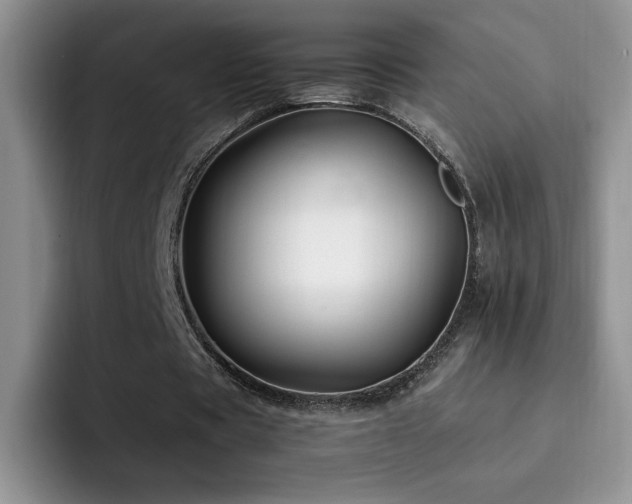 X0000092210529200709141028