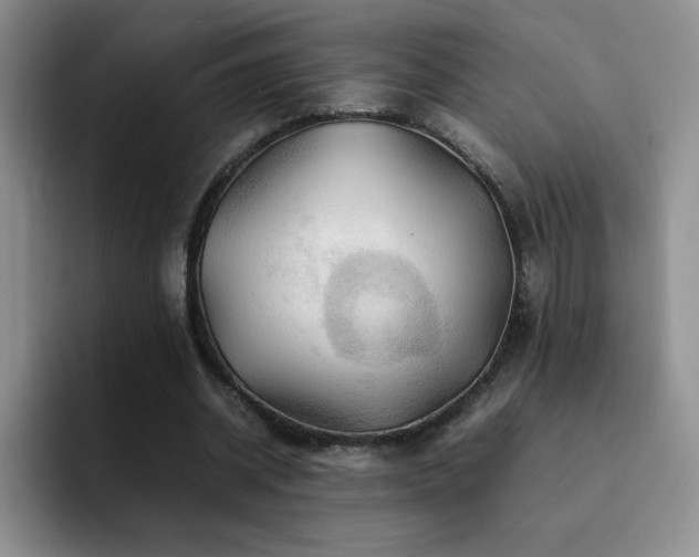 X0000092210534200709141028