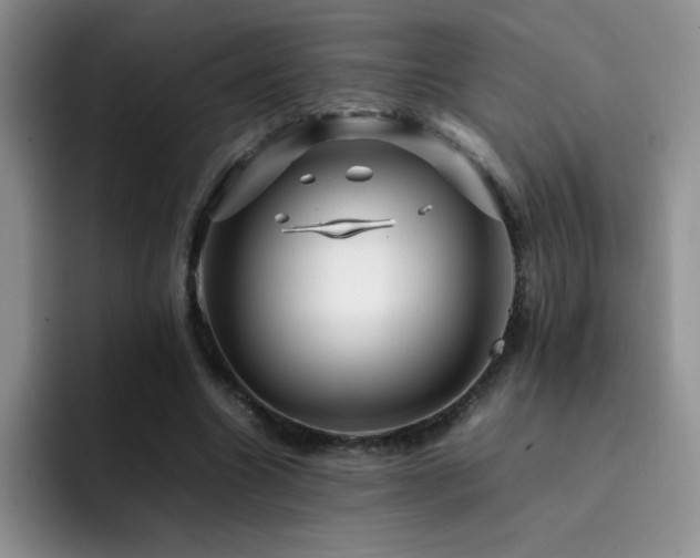 X0000092210538200709141028