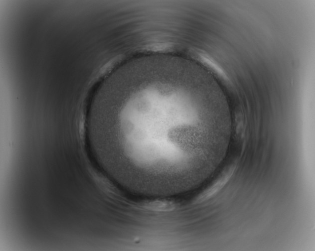 X0000092210542200709141028