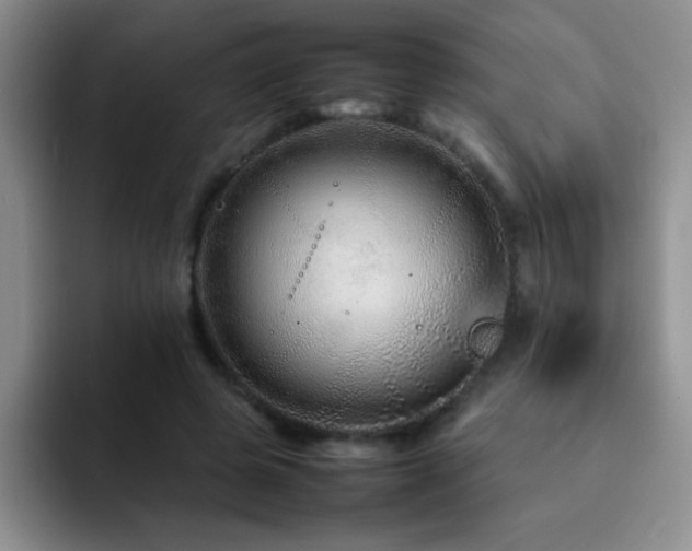X0000092210545200709141028