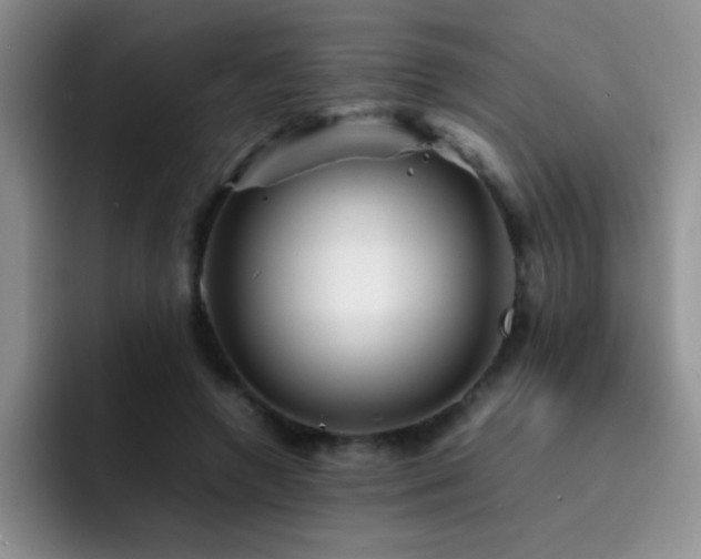 X0000092210546200709141028