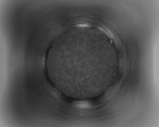 X0000092210553200709141028