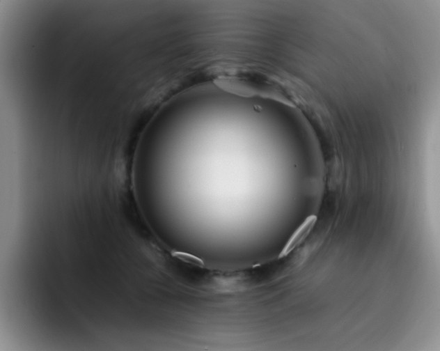 X0000092210560200709141028