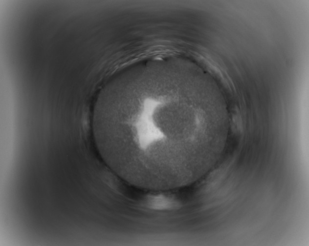 X0000092210561200709141028