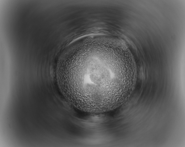 X0000092210569200709141028