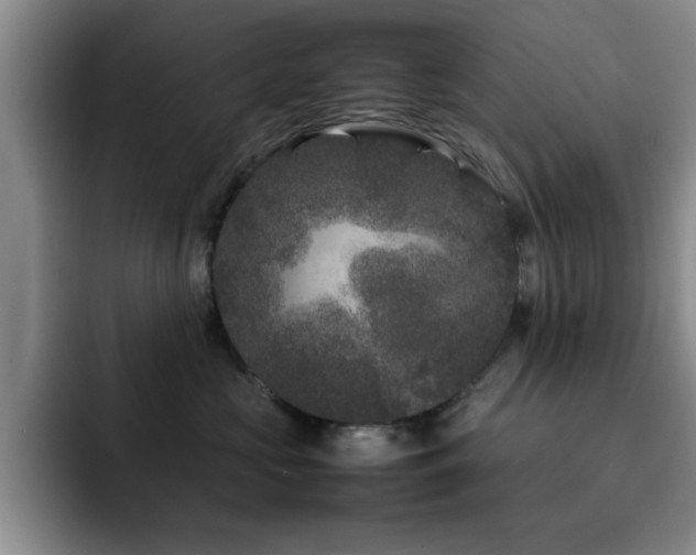 X0000092210573200709141028