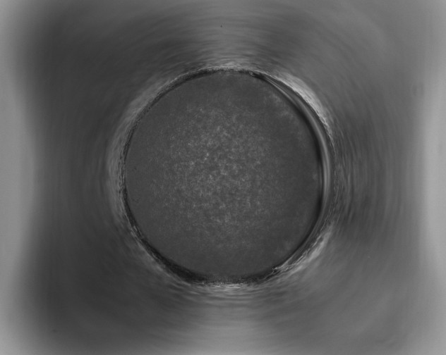 X0000092210577200709141028
