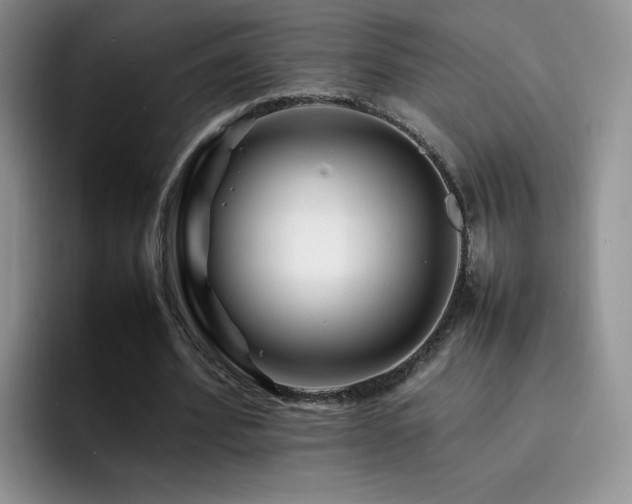 X0000092210580200709141028