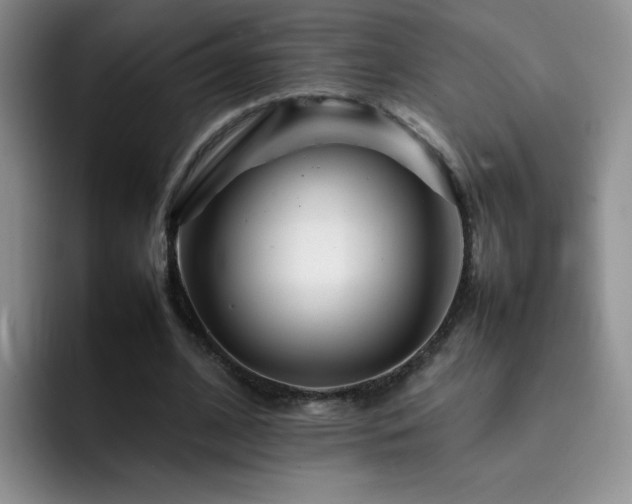 X0000092210584200709141027