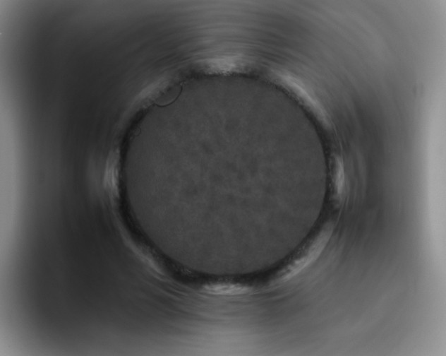 X0000092210590200709141027