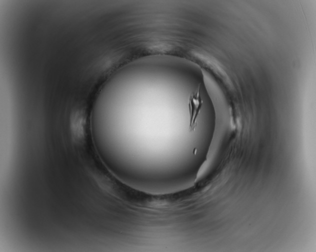 X0000092210596200709141027