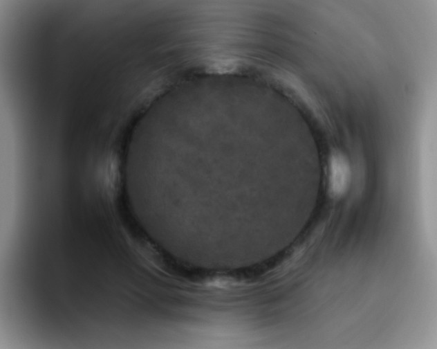 X0000092210598200709141027