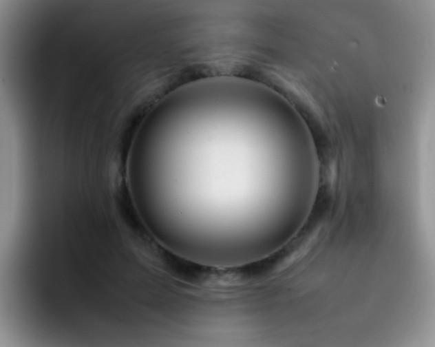 X0000092210599200709141027