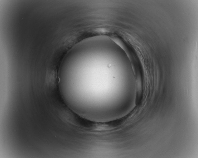X0000092210605200709141027