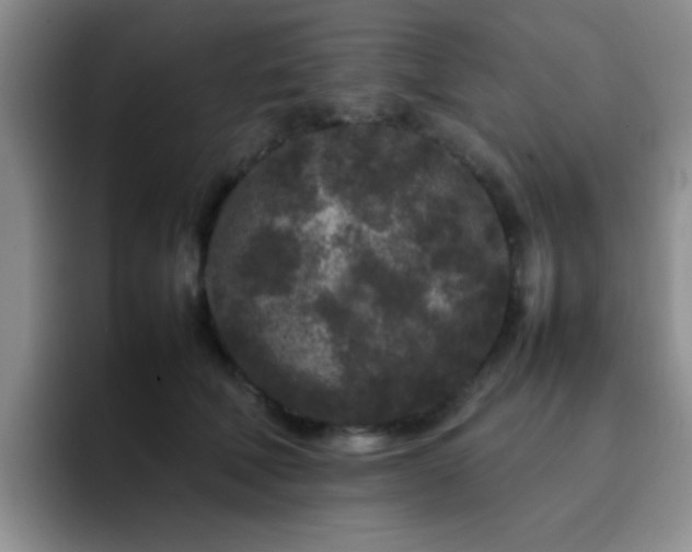 X0000092210610200709141027