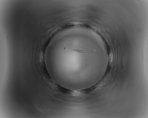 X0000092210623200709141027
