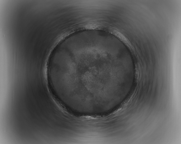 X0000092210626200709141026