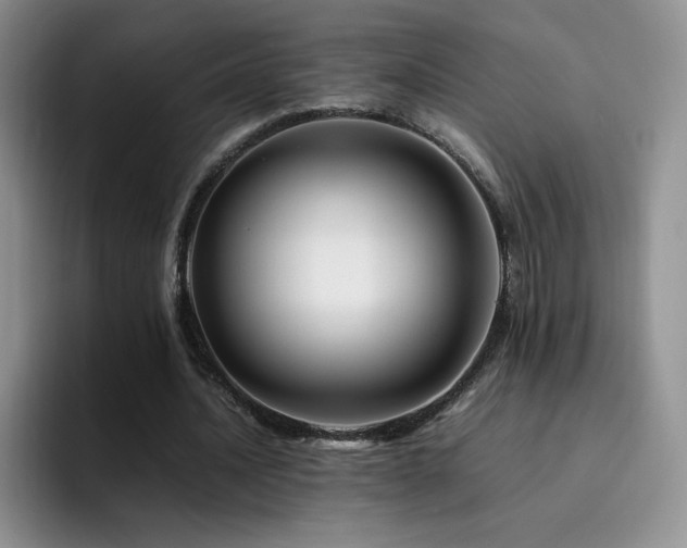 X0000092210628200709141026