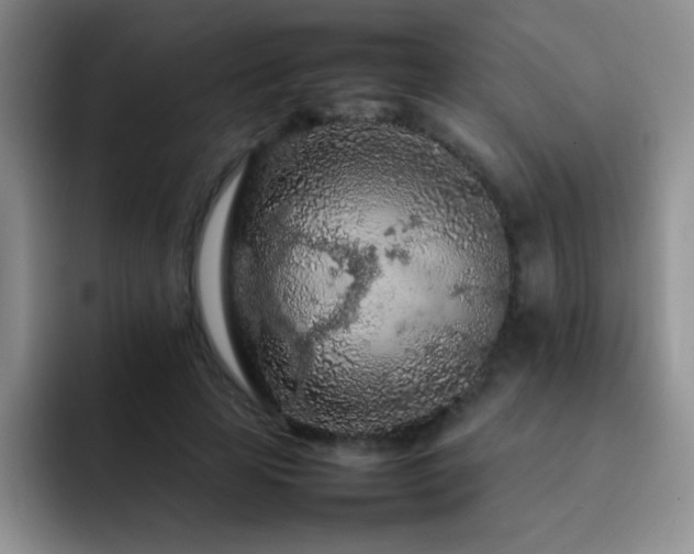 X0000092210641200709141027