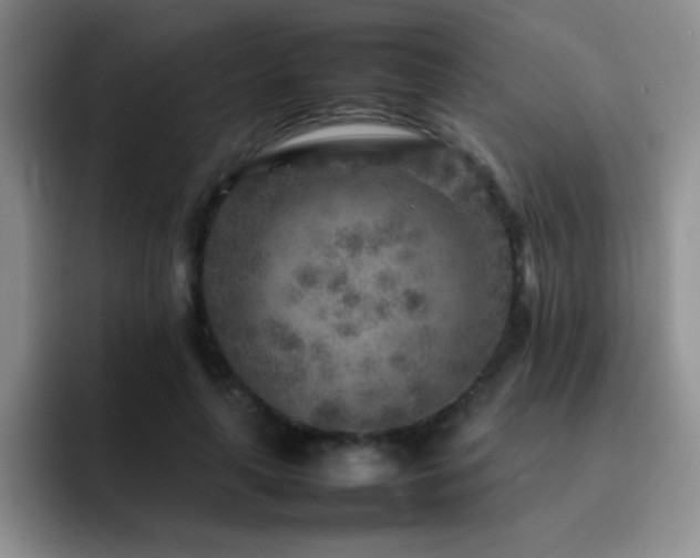 X0000092210643200709141027