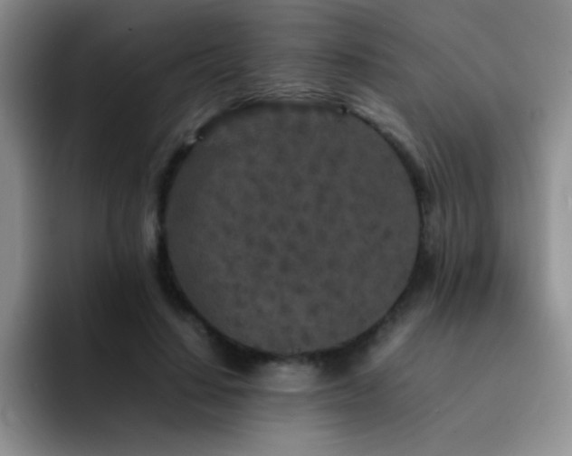 X0000092210644200709141027