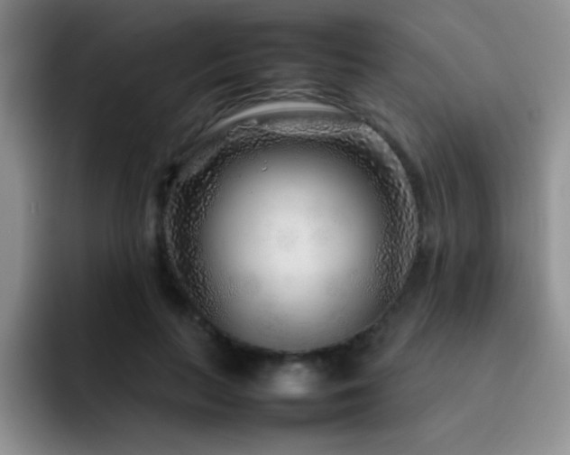 X0000092210647200709141027