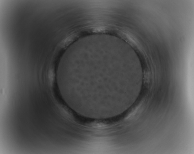 X0000092210648200709141027