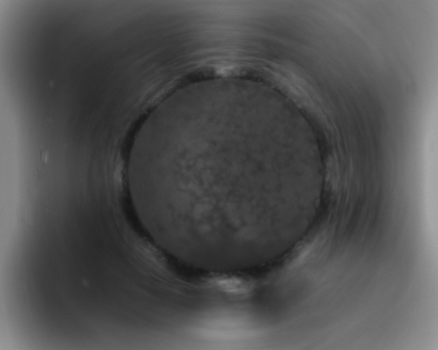 X0000092210650200709141027