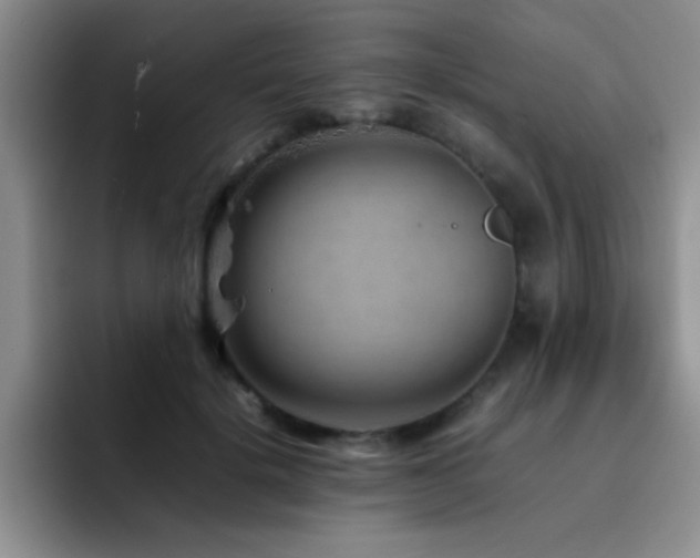 X0000092210652200709141027