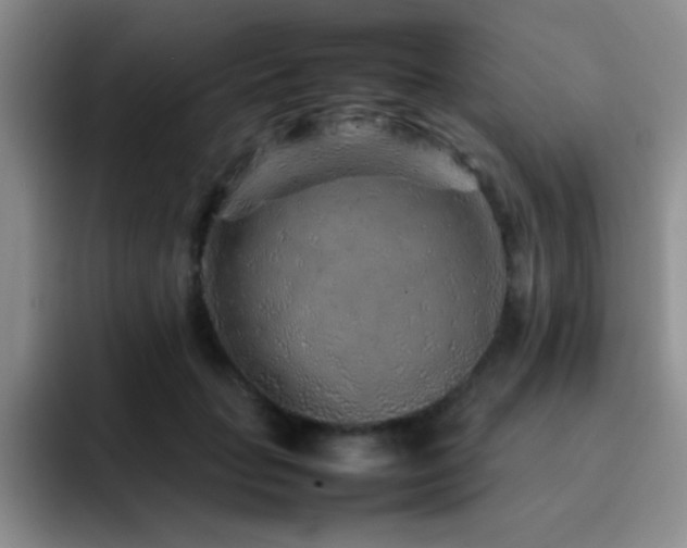 X0000092210653200709141027