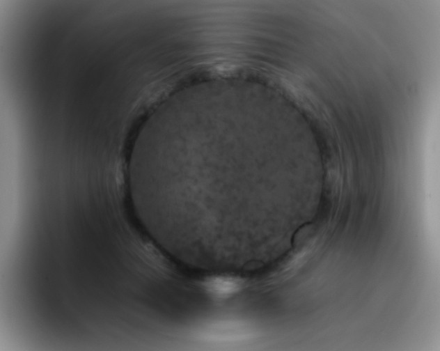 X0000092210654200709141027