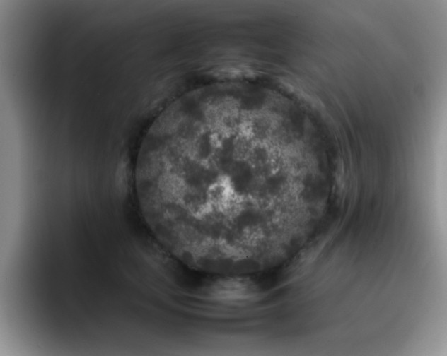 X0000092210659200709141027