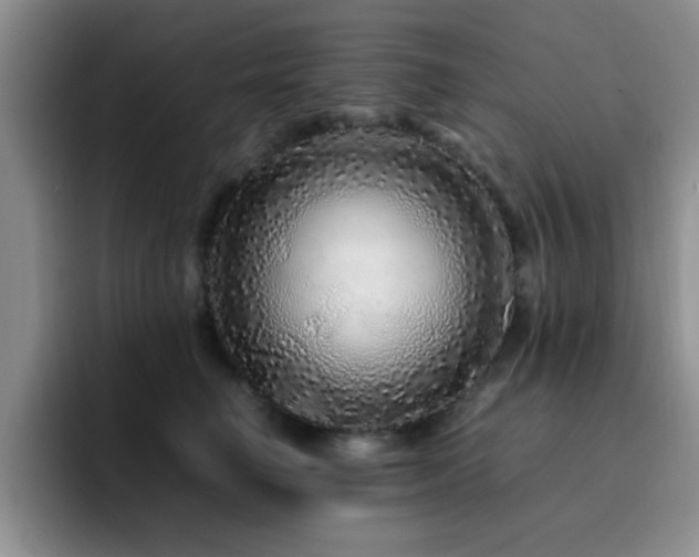 X0000092210662200709141027