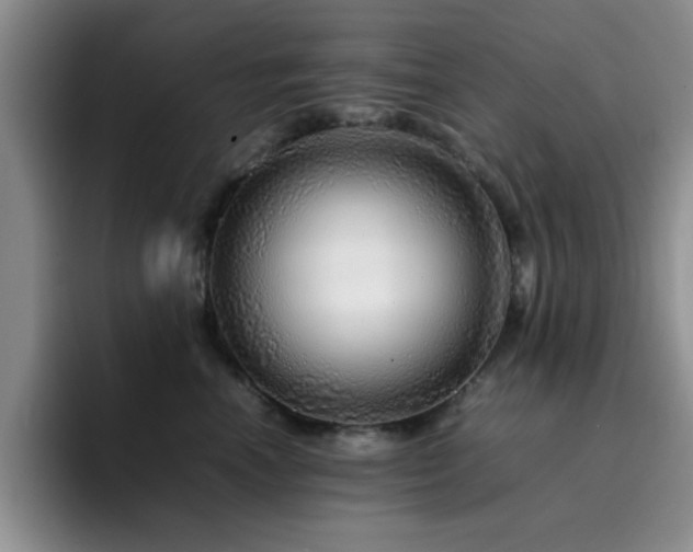 X0000092210666200709141027