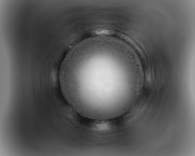 X0000092210667200709141027