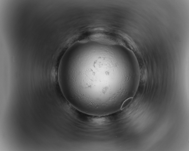 X0000092210669200709141027