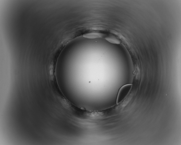 X0000092210670200709141027