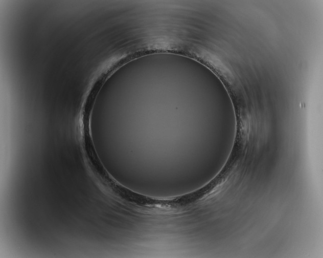 X0000092210678200709141026