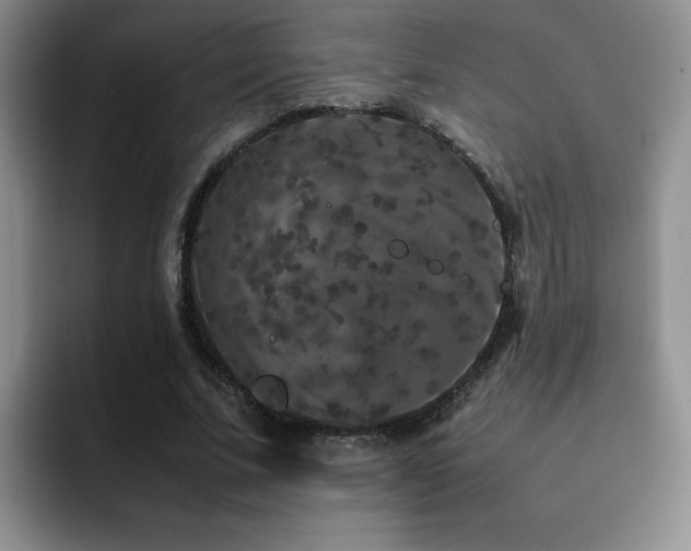 X0000092210679200709141026