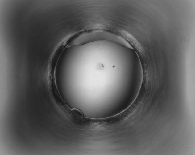 X0000092210680200709141026