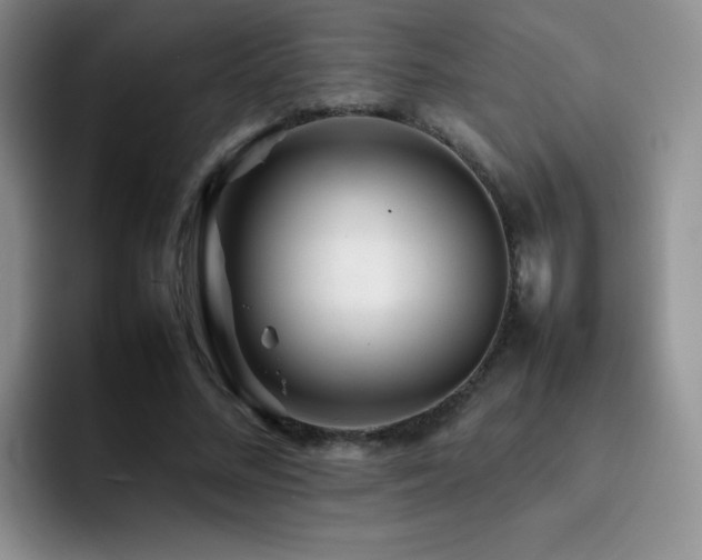 X0000092210684200709141026