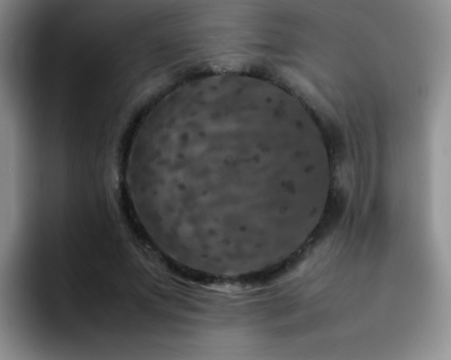 X0000092210687200709141026