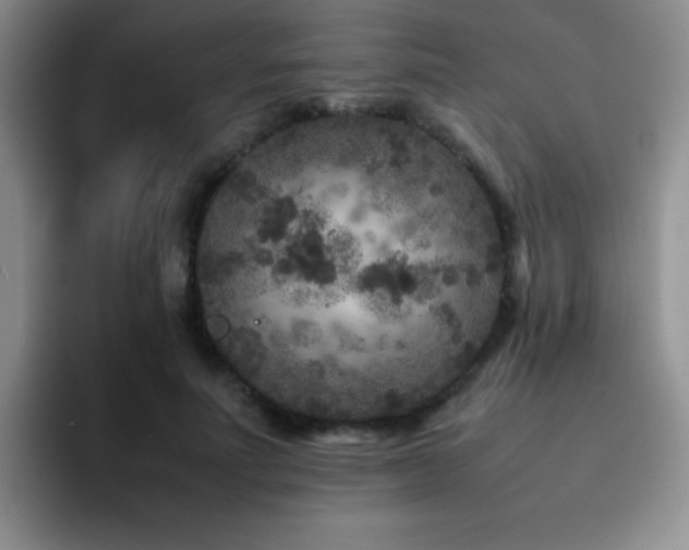 X0000092210691200709141026